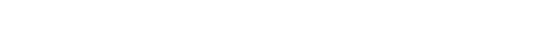 サービスオプション